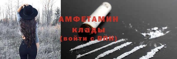 стаф Богородск