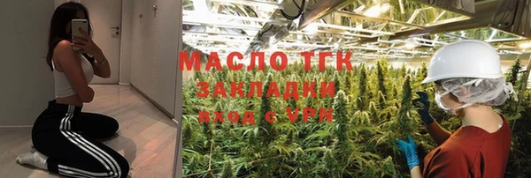 стаф Богородск